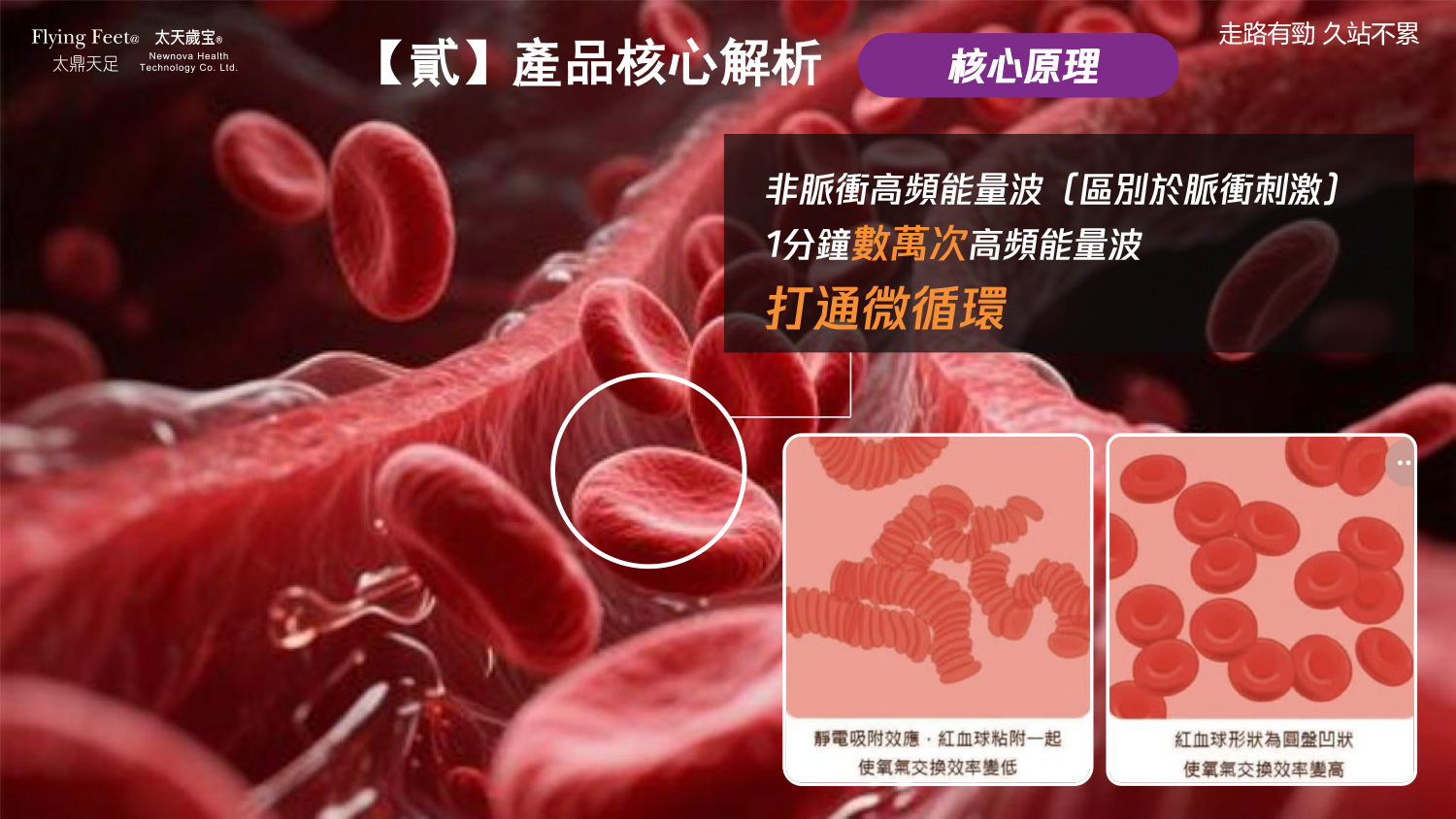 太鼎天足 專利晶片能量墊